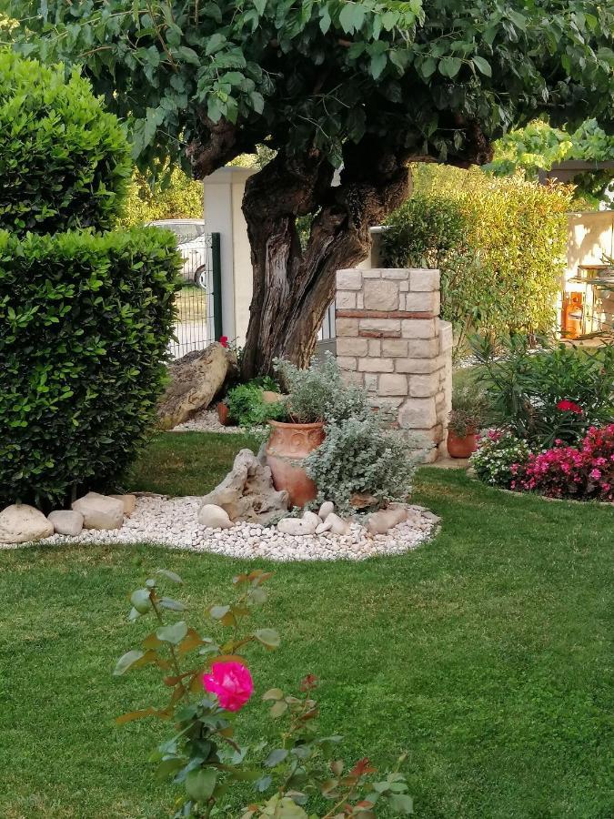 Villa Roza Umag Exterior foto