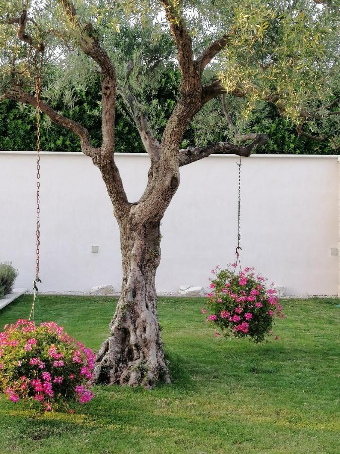 Villa Roza Umag Exterior foto