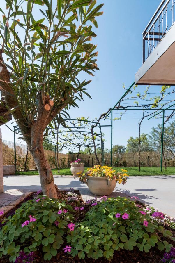 Villa Roza Umag Exterior foto