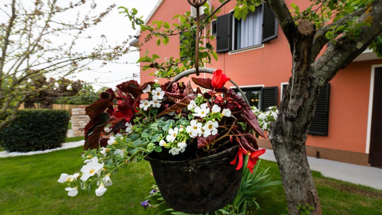 Villa Roza Umag Exterior foto