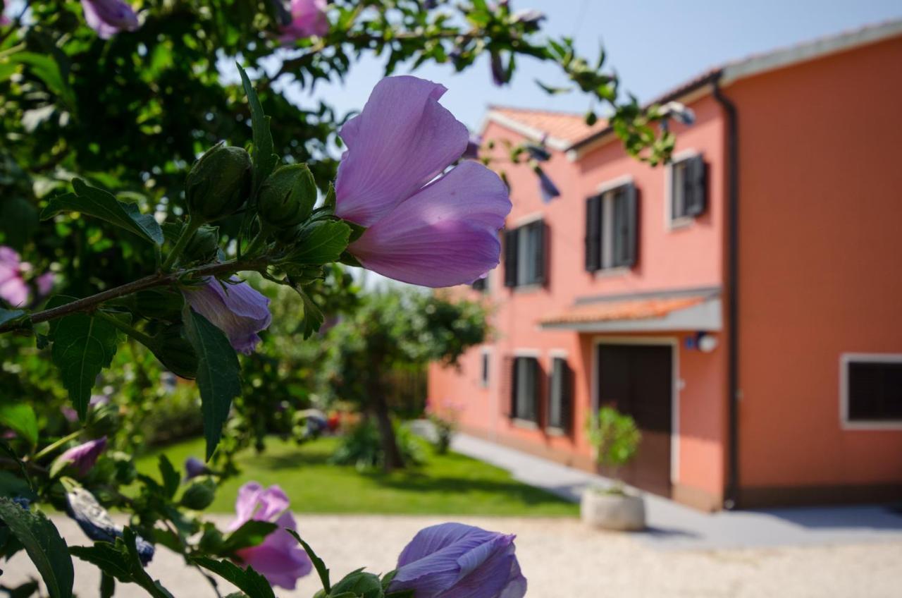 Villa Roza Umag Exterior foto